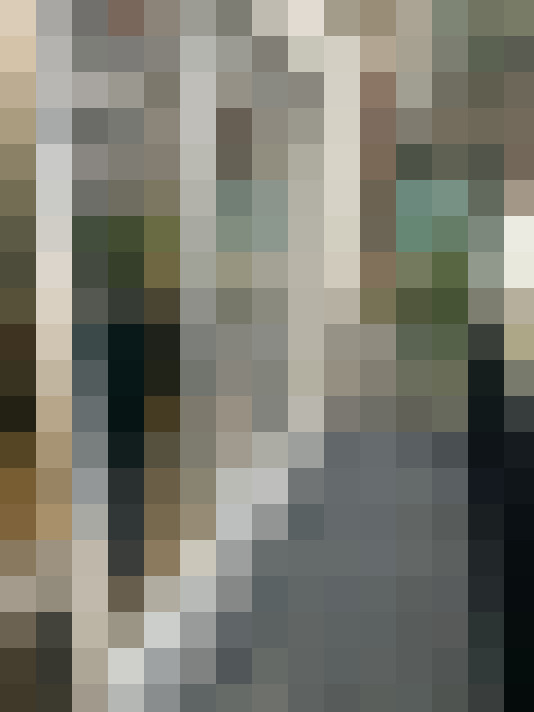 Image 22