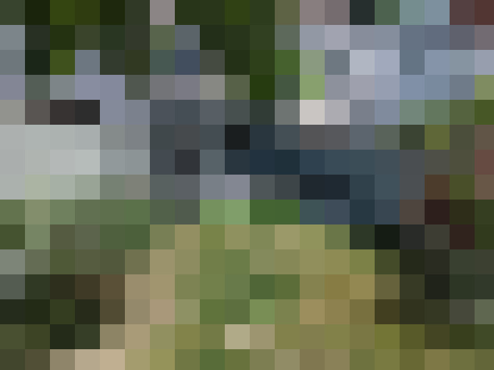 Image 14