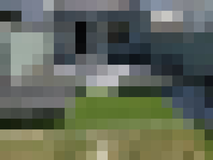 Image 13