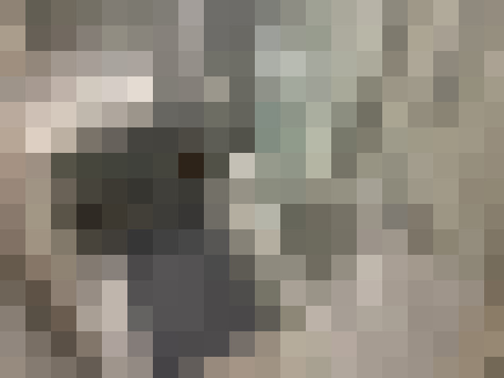 Image 24