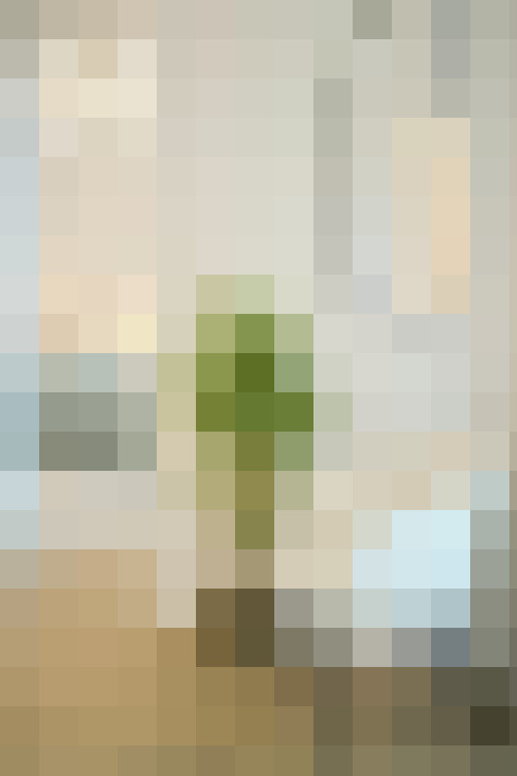 Image 14