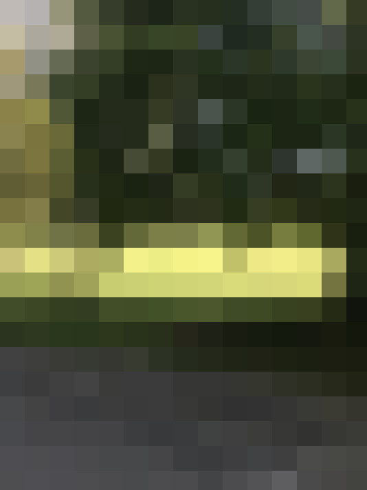 Image 17