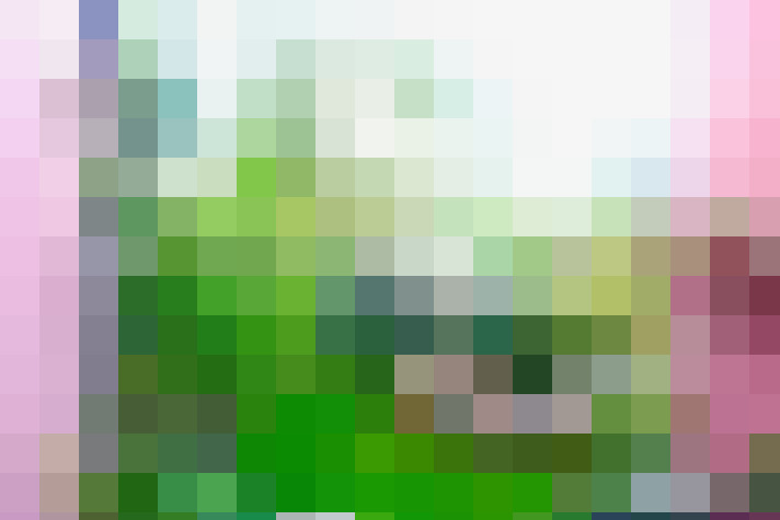 Image 42