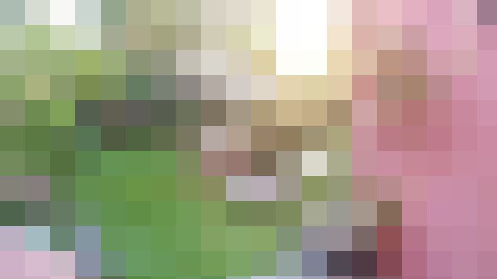 Image 43