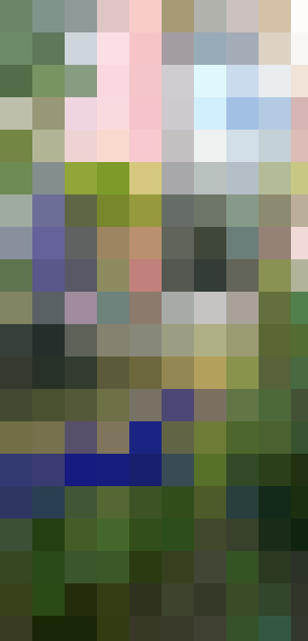 Image 40