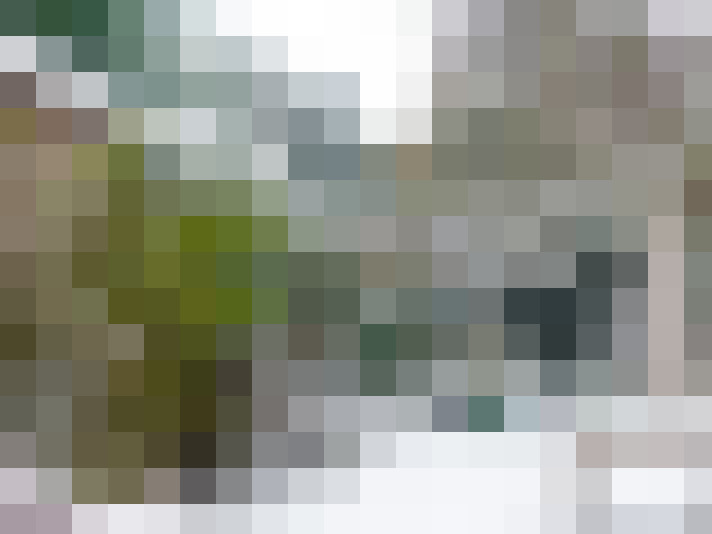 Image 45