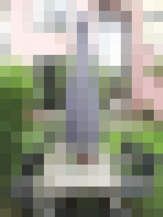 Image 41