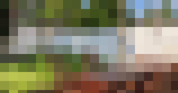 Image 29