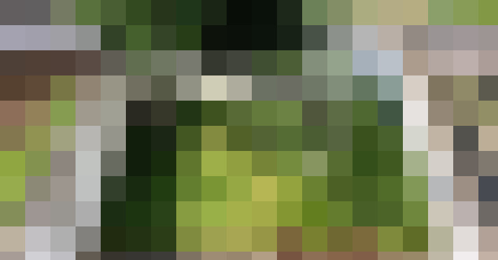 Image 27