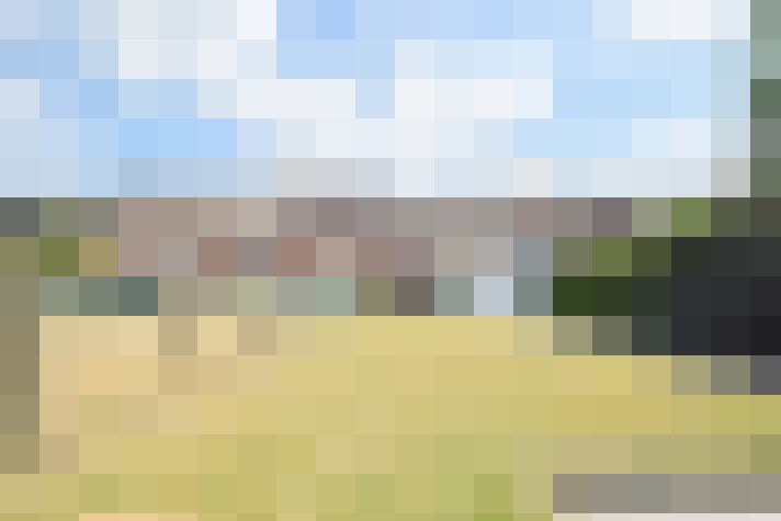 Image 23