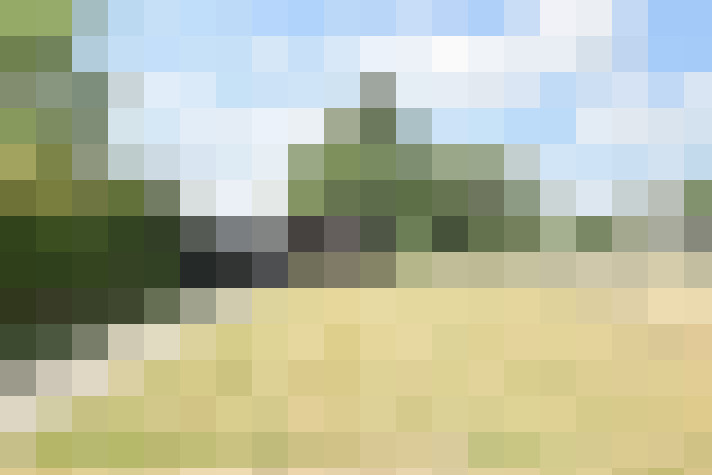 Image 22