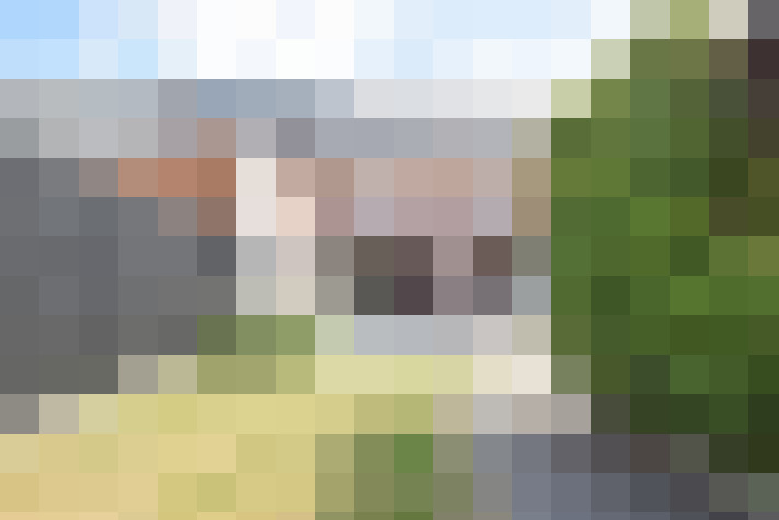Image 24