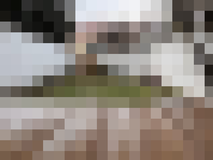 Image 16