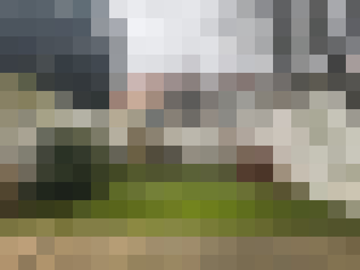 Image 24