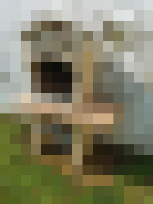 Image 18