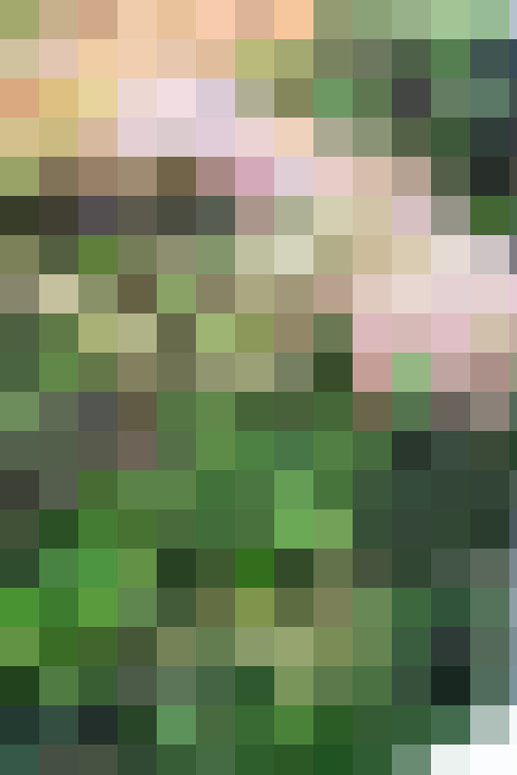 Image 28