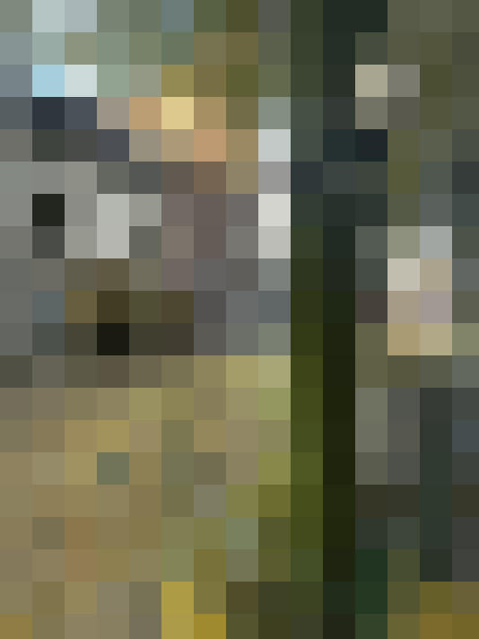 Image 30
