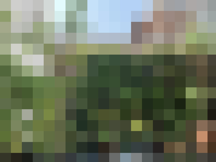 Image 26