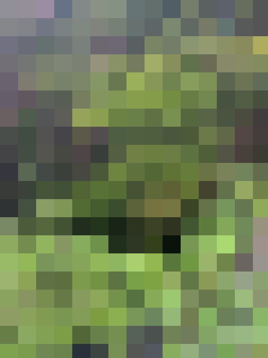 Image 27