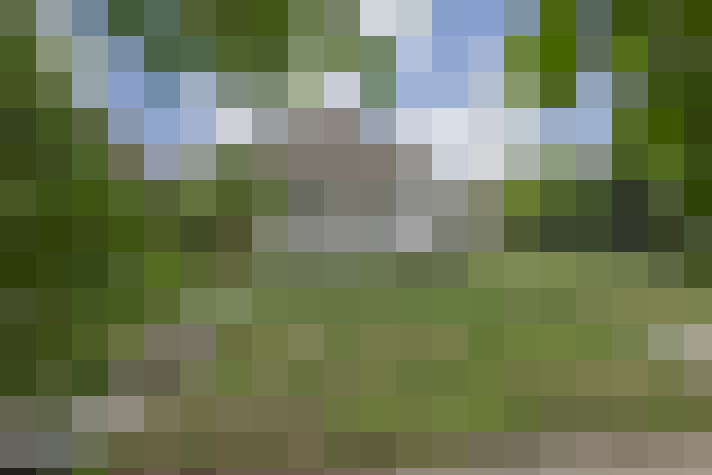 Image 24