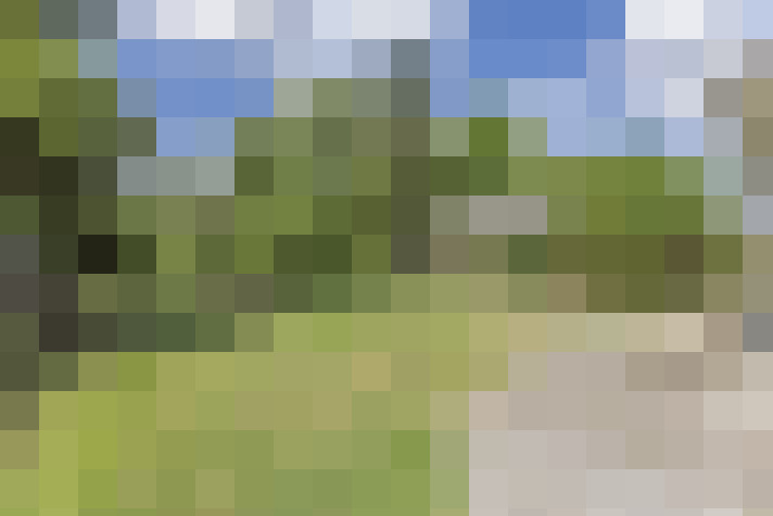 Image 23