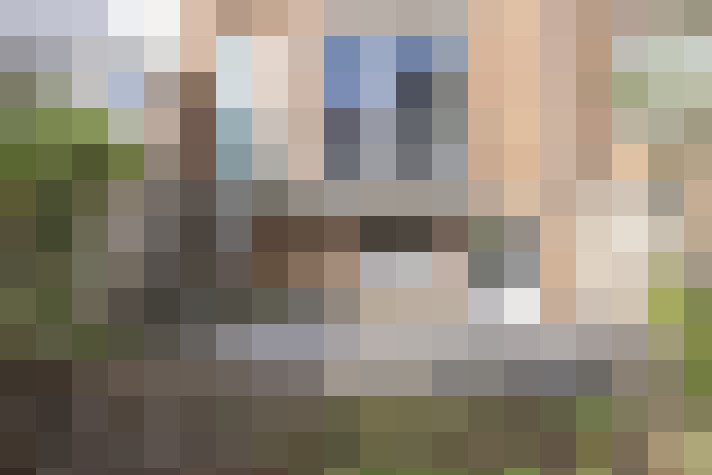 Image 23