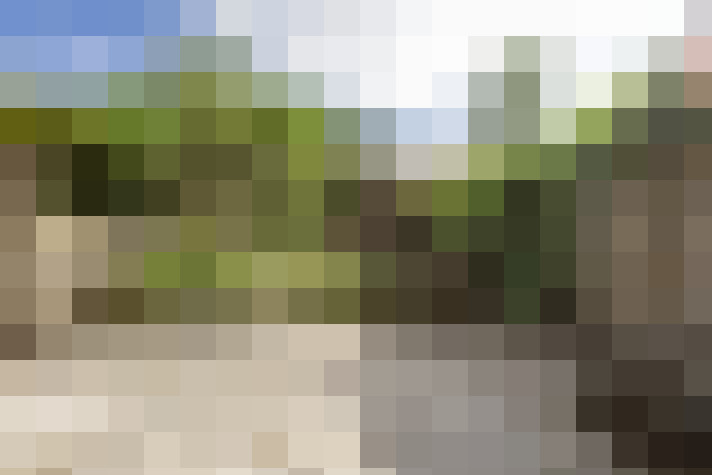 Image 24