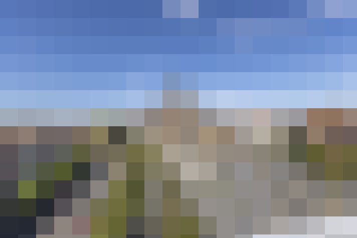 Image 15