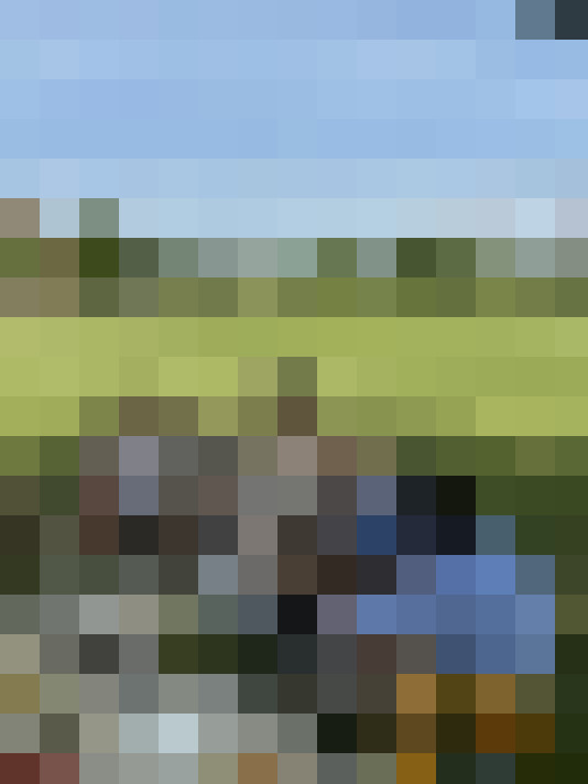 Image 23