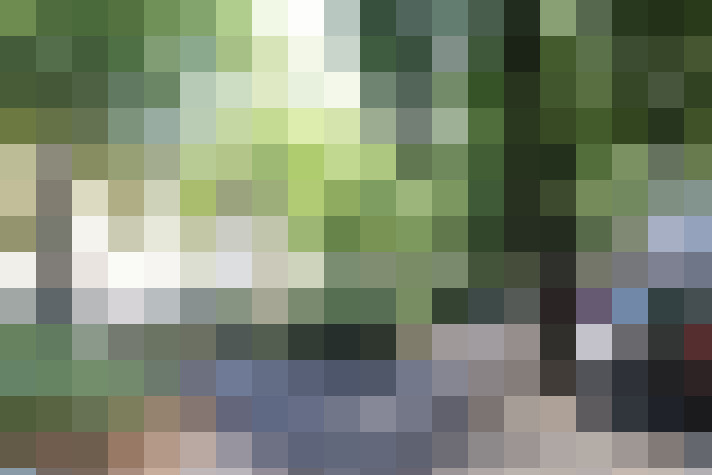Image 31