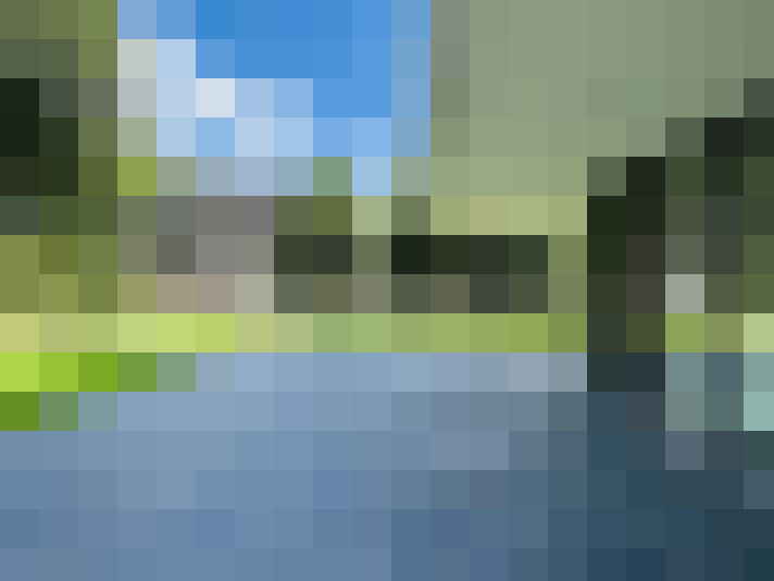 Image 20