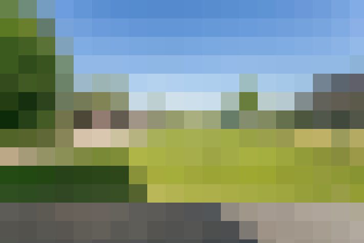 Image 21