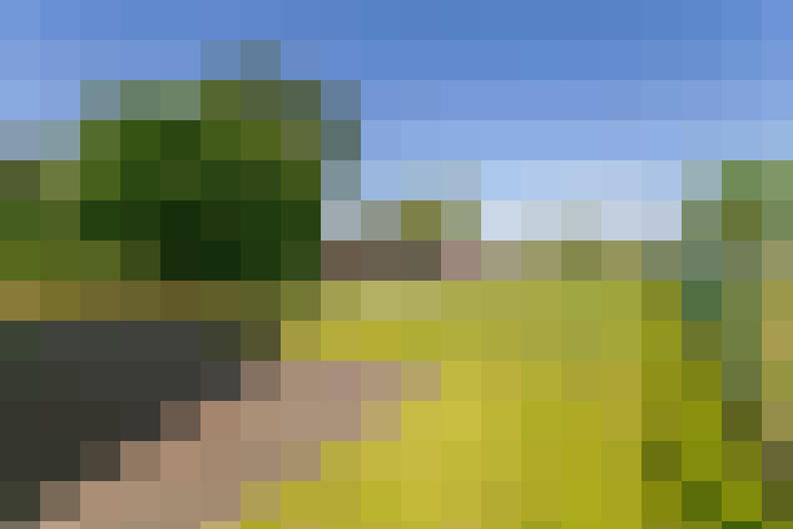 Image 22
