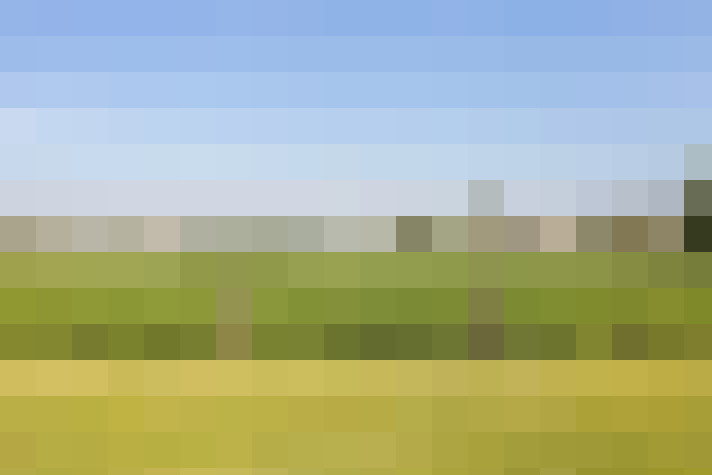 Image 24