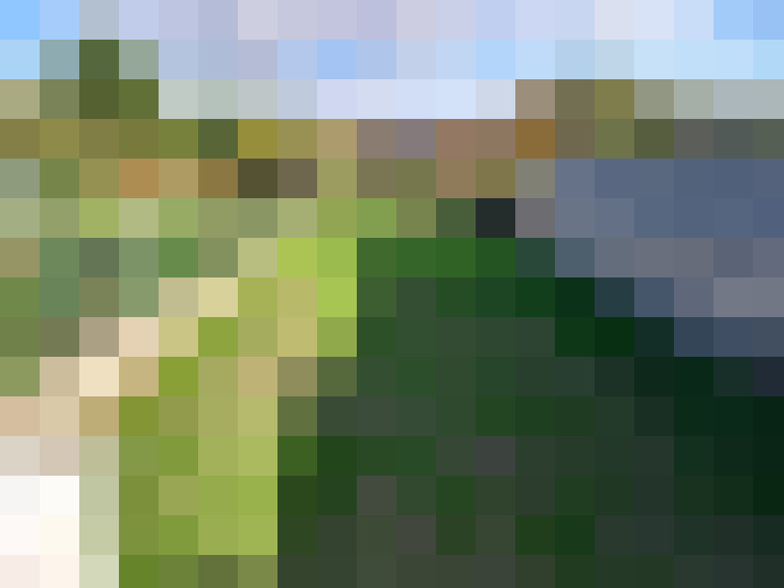 Image 15