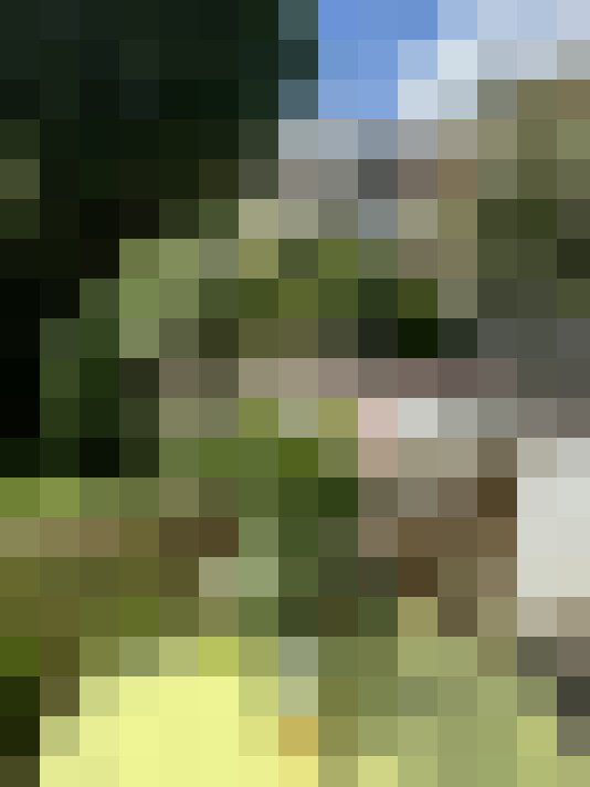Image 15
