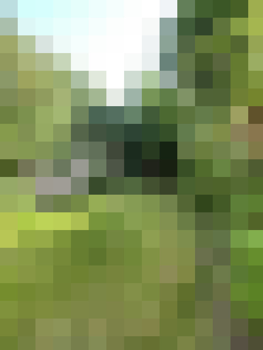 Image 16