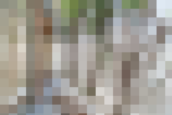 Image 24