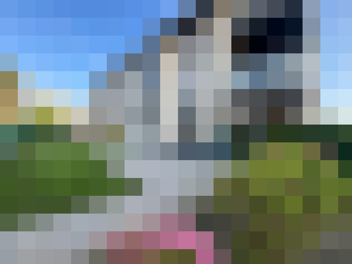 Image 25