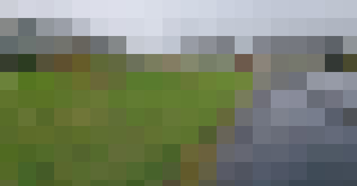 Image 22