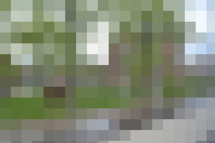 Image 14