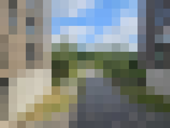 Image 13
