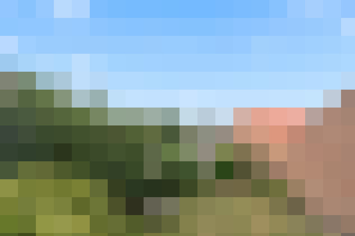 Image 22
