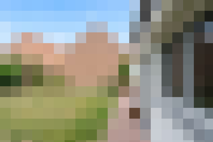Image 23