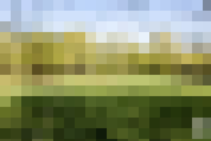 Image 23