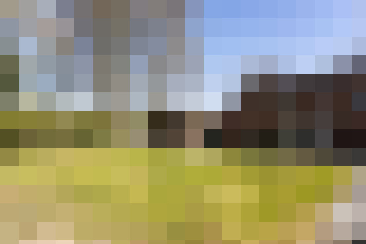 Image 22
