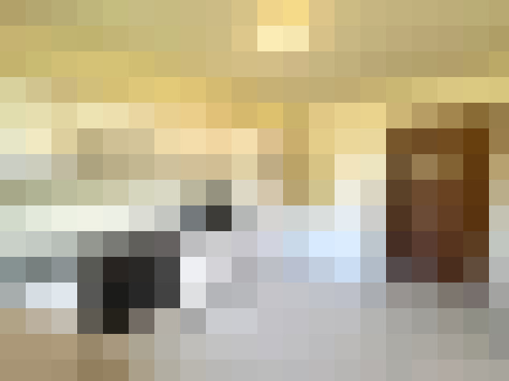 Image 13