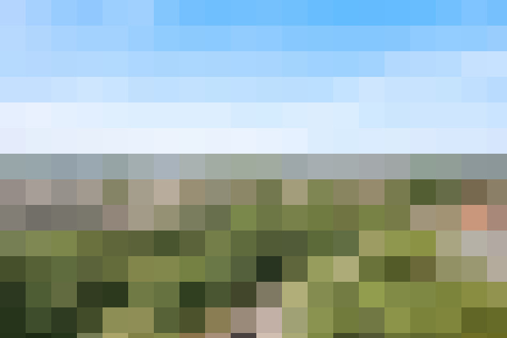 Image 26