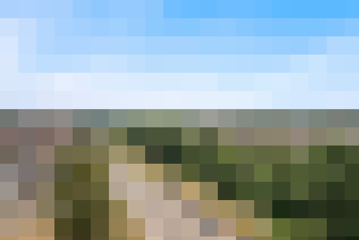 Image 25