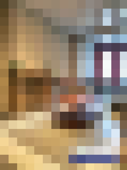 Image 29